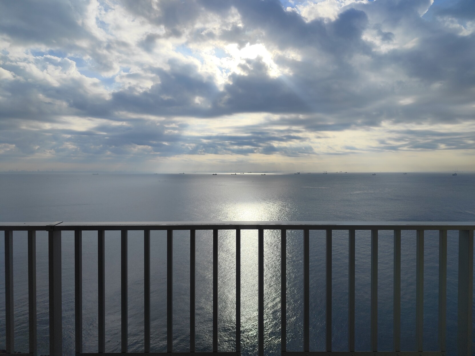 海